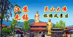 视频h日b江苏无锡灵山大佛旅游风景区