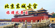 骚女人操屄屄中国北京-东城古宫旅游风景区